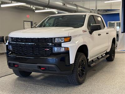 2019 Chevrolet Silverado 1500 Custom Trail Boss   - Photo 4 - Grand Rapids, MI 49504