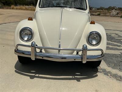 1967 Volkswagen Beetle - Photo 3 - Escondido, CA 92029