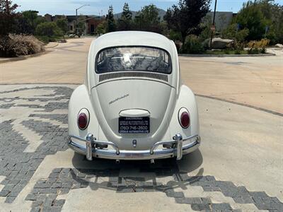 1967 Volkswagen Beetle - Photo 15 - Escondido, CA 92029