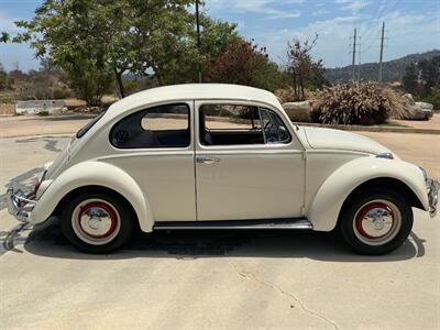 1967 Volkswagen Beetle - Photo 5 - Escondido, CA 92029