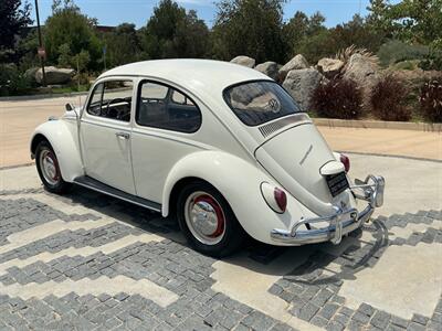 1967 Volkswagen Beetle - Photo 13 - Escondido, CA 92029