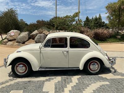 1967 Volkswagen Beetle - Photo 6 - Escondido, CA 92029
