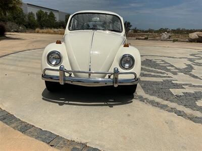 1967 Volkswagen Beetle - Photo 2 - Escondido, CA 92029