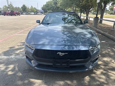 2024 Ford Mustang EcoBoost   - Photo 2 - Dallas, TX 75252