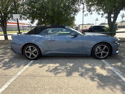 2024 Ford Mustang EcoBoost   - Photo 8 - Dallas, TX 75252