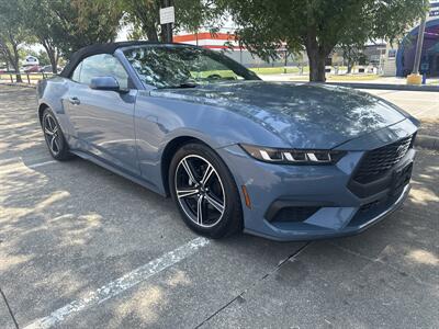 2024 Ford Mustang EcoBoost   - Photo 9 - Dallas, TX 75252