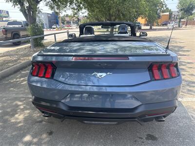 2024 Ford Mustang EcoBoost   - Photo 15 - Dallas, TX 75252