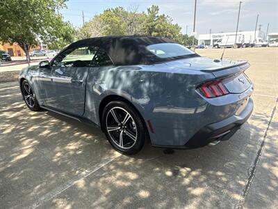 2024 Ford Mustang EcoBoost   - Photo 5 - Dallas, TX 75252