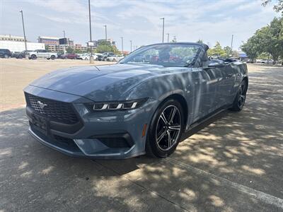 2024 Ford Mustang EcoBoost   - Photo 10 - Dallas, TX 75252