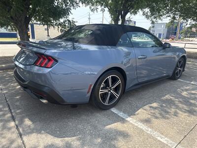 2024 Ford Mustang EcoBoost   - Photo 7 - Dallas, TX 75252