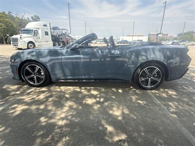 2024 Ford Mustang EcoBoost   - Photo 13 - Dallas, TX 75252