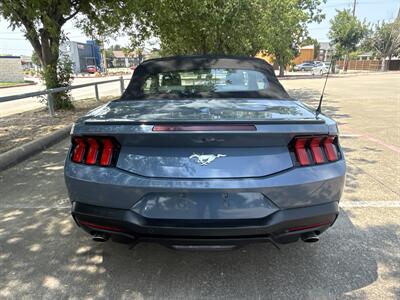 2024 Ford Mustang EcoBoost   - Photo 6 - Dallas, TX 75252