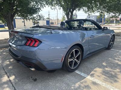 2024 Ford Mustang EcoBoost   - Photo 11 - Dallas, TX 75252