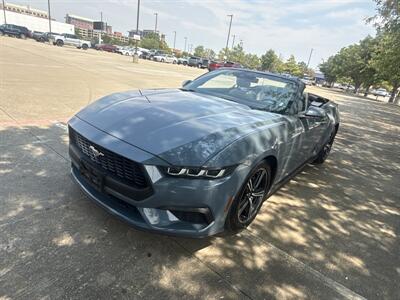 2024 Ford Mustang EcoBoost   - Photo 12 - Dallas, TX 75252