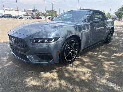 2024 Ford Mustang EcoBoost   - Photo 3 - Dallas, TX 75252