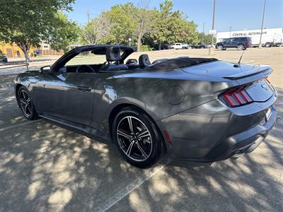 2025 Ford Mustang EcoBoost   - Photo 11 - Dallas, TX 75252