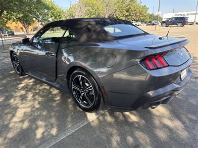 2025 Ford Mustang EcoBoost   - Photo 5 - Dallas, TX 75252
