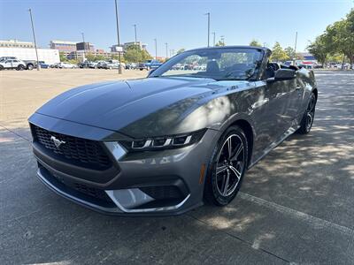 2025 Ford Mustang EcoBoost   - Photo 10 - Dallas, TX 75252