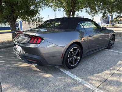 2025 Ford Mustang EcoBoost   - Photo 7 - Dallas, TX 75252