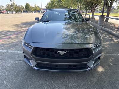 2025 Ford Mustang EcoBoost   - Photo 2 - Dallas, TX 75252