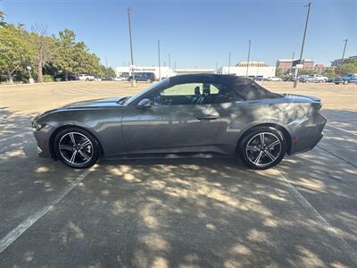 2025 Ford Mustang EcoBoost   - Photo 4 - Dallas, TX 75252