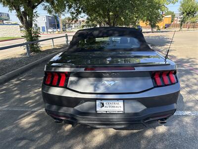 2025 Ford Mustang EcoBoost   - Photo 6 - Dallas, TX 75252