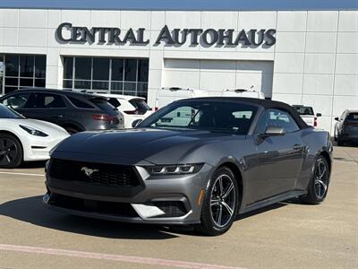 2025 Ford Mustang EcoBoost   - Photo 1 - Dallas, TX 75252