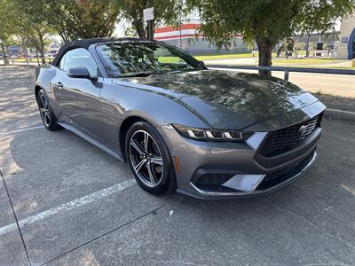 2025 Ford Mustang EcoBoost   - Photo 9 - Dallas, TX 75252