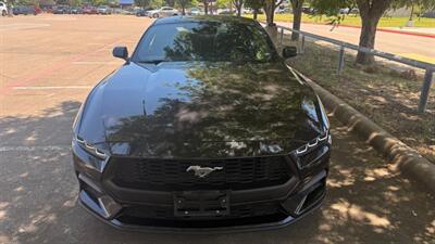 2024 Ford Mustang EcoBoost   - Photo 2 - Dallas, TX 75252