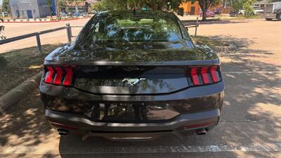 2024 Ford Mustang EcoBoost   - Photo 6 - Dallas, TX 75252
