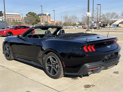2025 Ford Mustang EcoBoost  premium - Photo 12 - Dallas, TX 75252