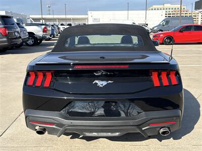 2025 Ford Mustang EcoBoost  premium - Photo 6 - Dallas, TX 75252