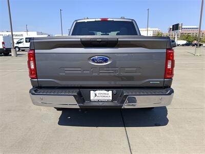 2023 Ford F-150 XLT   - Photo 6 - Dallas, TX 75252