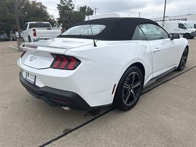 2025 Ford Mustang EcoBoost - Photo 7 - Dallas, TX 75252