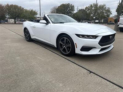 2025 Ford Mustang EcoBoost - Photo 15 - Dallas, TX 75252