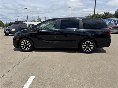 2025 Honda Odyssey EX-L   - Photo 4 - Dallas, TX 75252