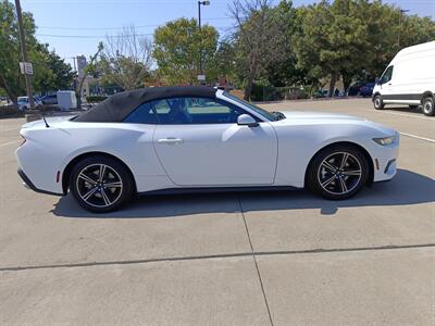 2024 Ford Mustang EcoBoost   - Photo 8 - Dallas, TX 75252