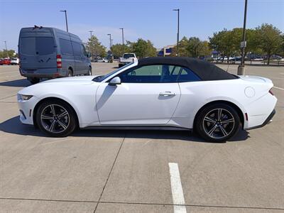 2024 Ford Mustang EcoBoost   - Photo 4 - Dallas, TX 75252