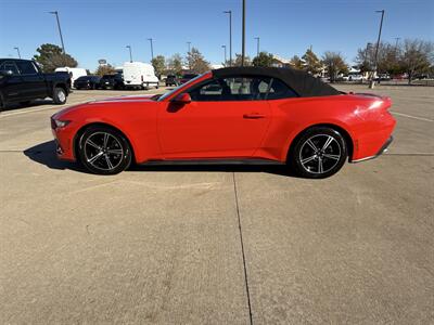 2024 Ford Mustang EcoBoost   - Photo 4 - Dallas, TX 75252