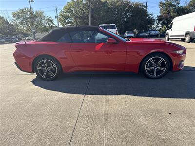 2024 Ford Mustang EcoBoost   - Photo 8 - Dallas, TX 75252