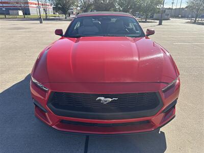 2024 Ford Mustang EcoBoost   - Photo 2 - Dallas, TX 75252