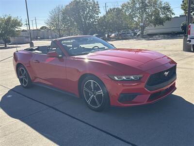 2024 Ford Mustang EcoBoost   - Photo 16 - Dallas, TX 75252