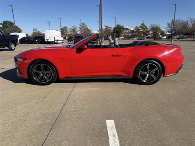 2024 Ford Mustang EcoBoost   - Photo 12 - Dallas, TX 75252