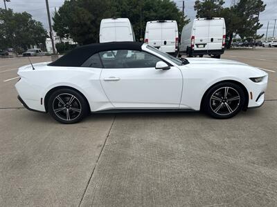 2025 Ford Mustang EcoBoost   - Photo 8 - Dallas, TX 75252