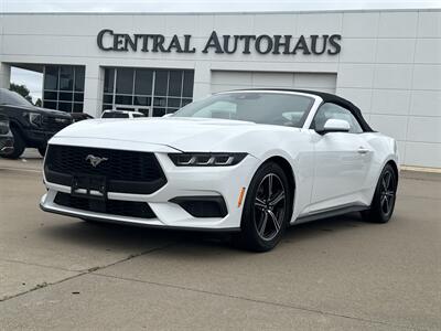 2025 Ford Mustang EcoBoost   - Photo 1 - Dallas, TX 75252