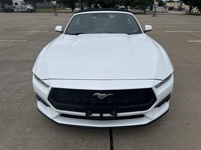 2025 Ford Mustang EcoBoost   - Photo 2 - Dallas, TX 75252
