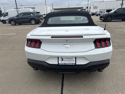 2025 Ford Mustang EcoBoost   - Photo 6 - Dallas, TX 75252