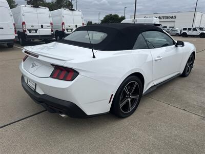2025 Ford Mustang EcoBoost   - Photo 7 - Dallas, TX 75252