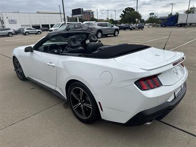 2025 Ford Mustang EcoBoost   - Photo 13 - Dallas, TX 75252