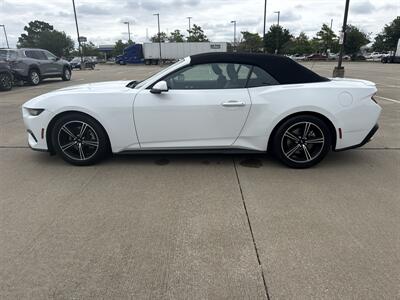 2025 Ford Mustang EcoBoost   - Photo 4 - Dallas, TX 75252